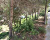 Bestaande woningen - Ground - Javea - Tosalet