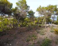 Bestaande woningen - Perceel - Javea - Balcon Al Mar