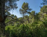 Bestaande woningen - Perceel - Javea - Rafalet