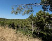 Bestaande woningen - Perceel - Javea - Rafalet