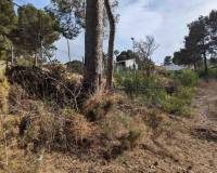 Bestaande woningen - Perceel - Moraira - Pinar del Advocat