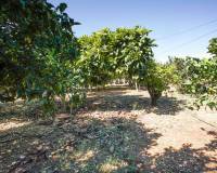 Bestaande woningen - Villa - Javea - Carretera Gata