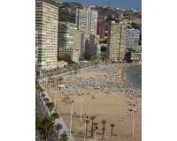 Bestand - Apartment - Benidorm