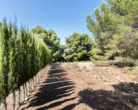 Bestand - Ground - Javea - Cap de San Antonio