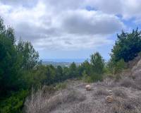 Bestand - Handlung - Altea - Urbanización Santa Clara