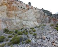 Bestand - Handlung - Altea