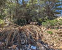 Bestand - Handlung - Denia - Don Quijote