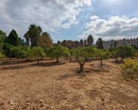 Bestand - Handlung - Denia - Sportcentrum