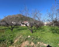 Bestand - Villa - Murla
