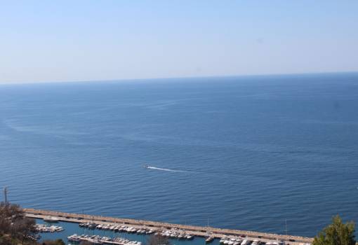 Handlung - Bestand - Altea - Altea