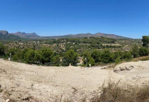 Handlung - Bestand - Calpe - Empedrola