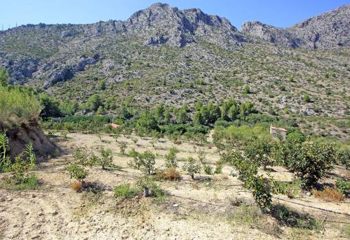 Handlung - Bestand - Denia - Beniarbeig