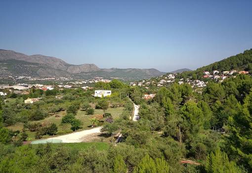 Handlung - Bestand - Denia - Orba