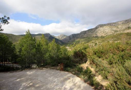 Handlung - Bestand - Denia - Pedreguer