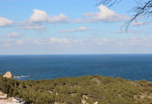 Handlung - Bestand - Javea - Portixol