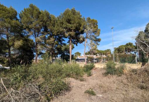 Handlung - Bestand - Moraira - Pinar del Advocat