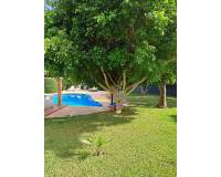 Langzeitmiete - Villa - Mallorca - Calas de Mallorca