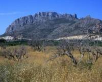 Neubau - Apartment - Denia - El Verger