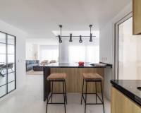 Neubau - Penthouse - Torrevieja - Punta Prima