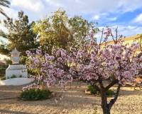 Neubau - Villa - Los Urrutias - Estrella De Mar