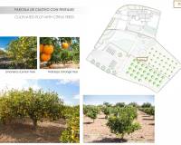 New Build - Villa - Altea - Jardines de Alhama