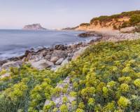 New Build - Villa - Benissa costa - Cala Advocat