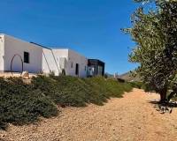 New Build - Villa - Jumilla - Torre del Rico