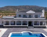 New Build - Villa - Pinoso - Camino Del Prado