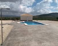 New Build - Villa - Pinoso - Camino Del Prado