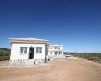 New Build - Villa - Pinoso - Camino Del Prado