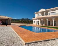 New Build - Villa - Pinoso - Camino Del Prado