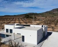 New Build - Villa - Pinoso - Campo