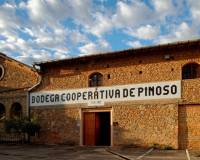 New Build - Villa - Pinoso