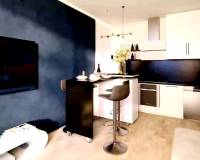 Nouvelle construction - Penthouse - Torrevieja