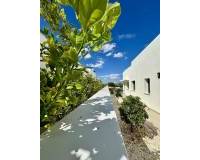 Nouvelle construction - Villa - Benijófar - Benijofar