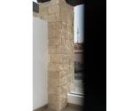 Nouvelle construction - Villa - Pilar de la Horadada - Pilar de Horadada