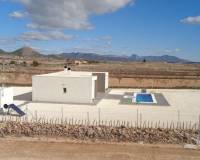 Nouvelle construction - Villa - Pinoso - Camino Del Prado