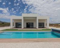 Nouvelle construction - Villa - Pinoso