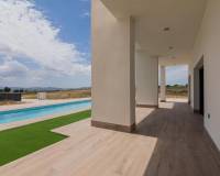 Nouvelle construction - Villa - Pinoso