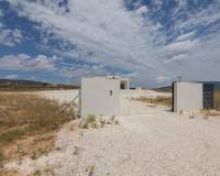 Nouvelle construction - Villa - Pinoso