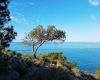 Nueva construcción  - Apartment - Villajoyosa/Vila Joiosa, La - Playa Les Torres