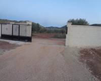 Nueva construcción  - Chalet - Pinoso - Camino Del Prado