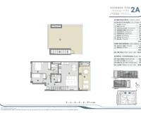 Nueva construcción  - Penthouse - Torrevieja - Punta Prima