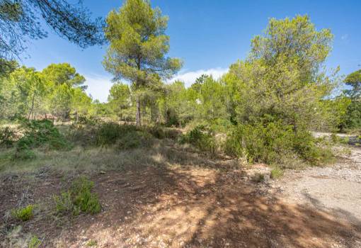 Parcela/Terreno - Reventa - Javea - Pinosol