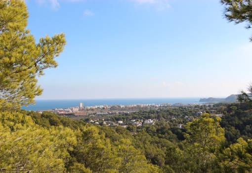 Parcela/Terreno - Reventa - Javea - Tosalet