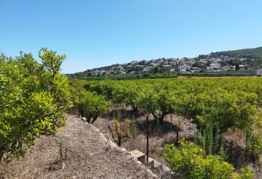 Perceel - Bestaande woningen - Denia - Orba