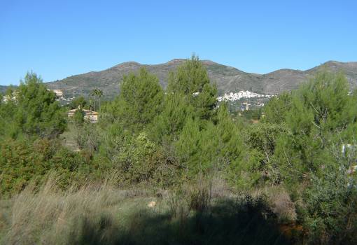 Perceel - Bestaande woningen - Jalon / Xaló - Jalon/Xalon