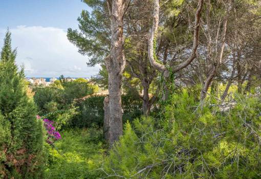 Perceel - Bestaande woningen - Javea - Adsubia