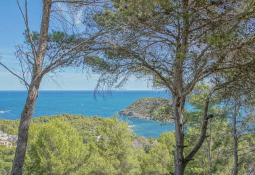 Perceel - Bestaande woningen - Javea - Portichol