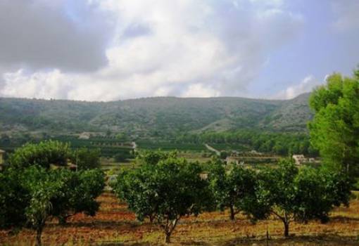 Plot - Resale - Benissa costa - Benissa Town